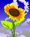 free-vector-sunflower-against-blue-sky-clip-art_115284_Sunflower_Against_Blue_Sky_clip_art_small